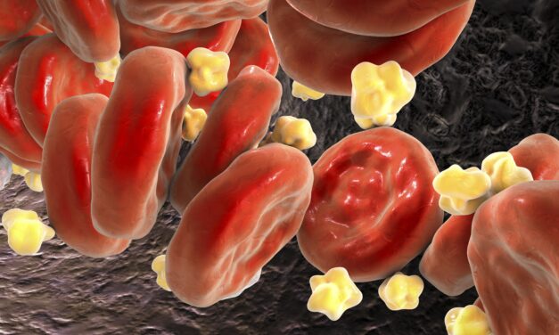 Folic Acid and Cholesterol: A Surprising Connection
