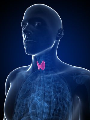 Can Antioxidants Help With Graves’ Disease
