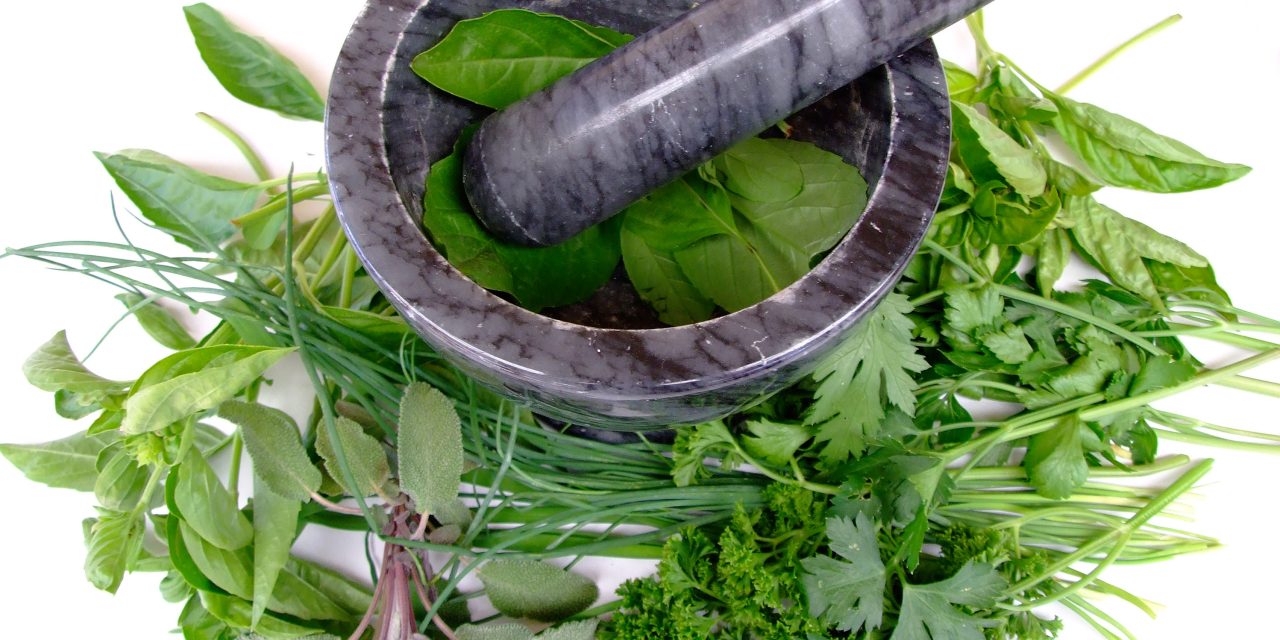 Chinese Herbs for Asthma?
