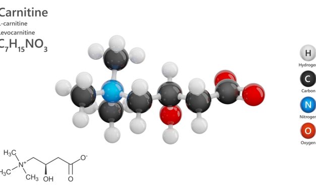 L-Carnitine and Lipid Levels (Cholesterol and Triglycerides)