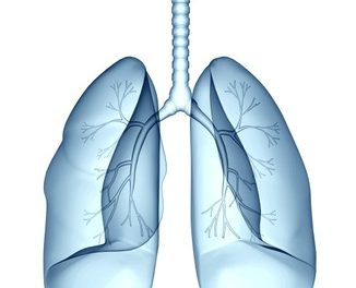 Natural Approaches that can Help With Asthma