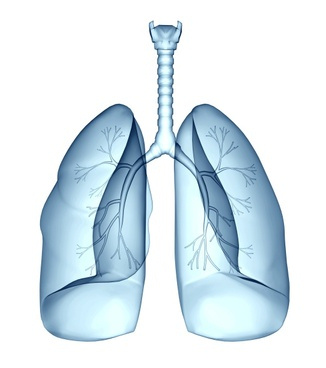 Natural Approaches that can Help With Asthma