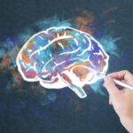 Phosphatidylserine and Memory: Early Research on Cognitive Function