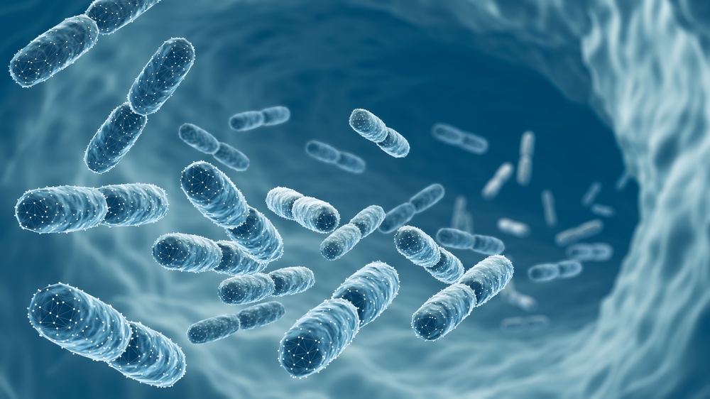 Probiotics and Digestive Symptoms