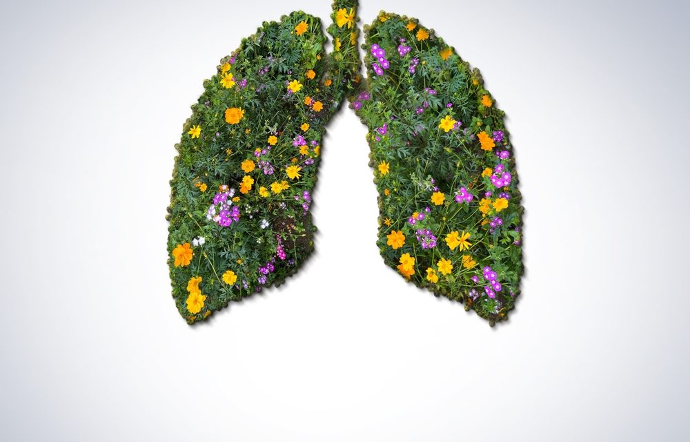 A Common-Sense, Natural Approach to Asthma