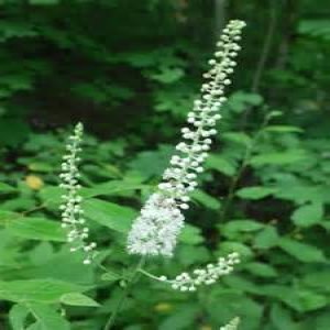 Reduce Menopausal Symptoms