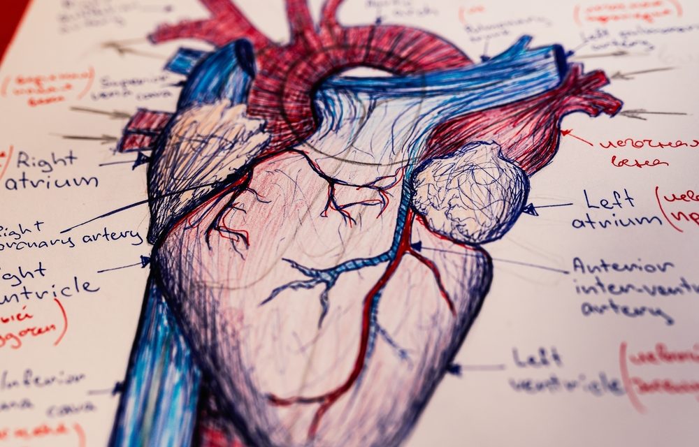 Help Keep  Your Arteries Clear