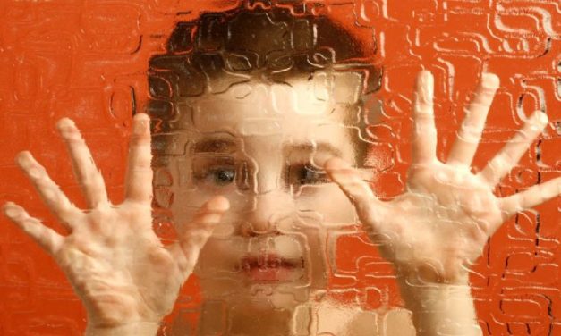 Autoimmunity and Autism