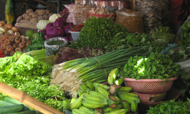 Folic Acid and Cancer