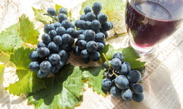 Resveratrol and Cardiovascular Health