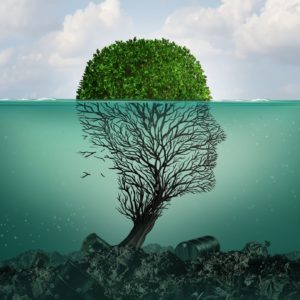 Water pollution