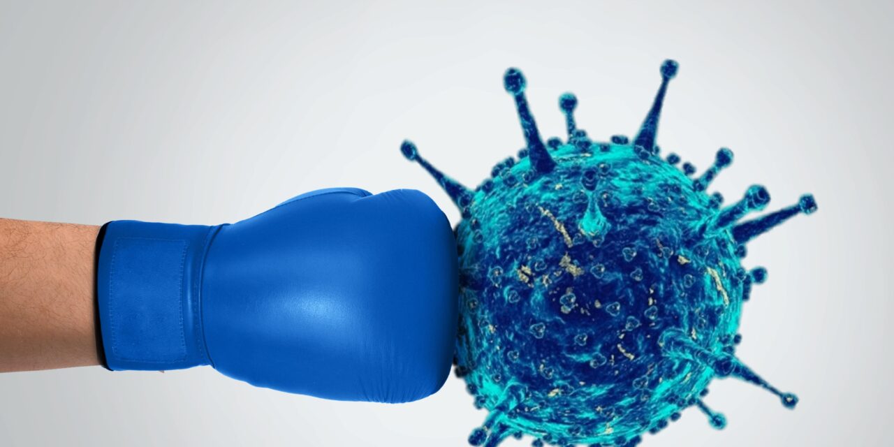 Thymus Extract: How Glandular Supplements Target and Support Organs