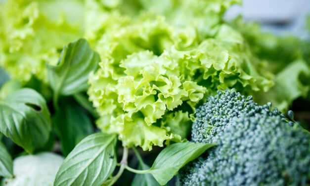 Folate, Homocysteine, and Brain Health: What You Should Know