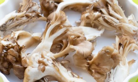 Maitake Mushroom Benefits: Immune, Metabolic, and Gut Health Support