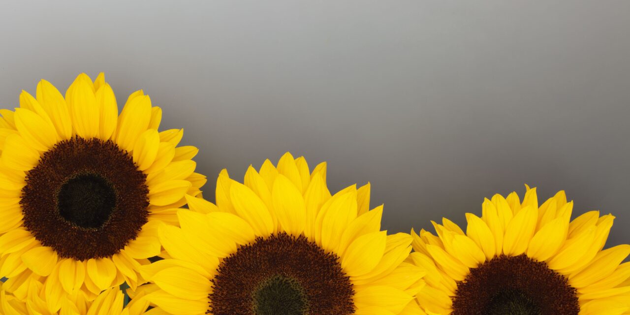 Thiamine Deficiency: Not as Rare as We Think