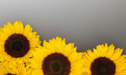 Thiamine Deficiency: Not as Rare as We Think