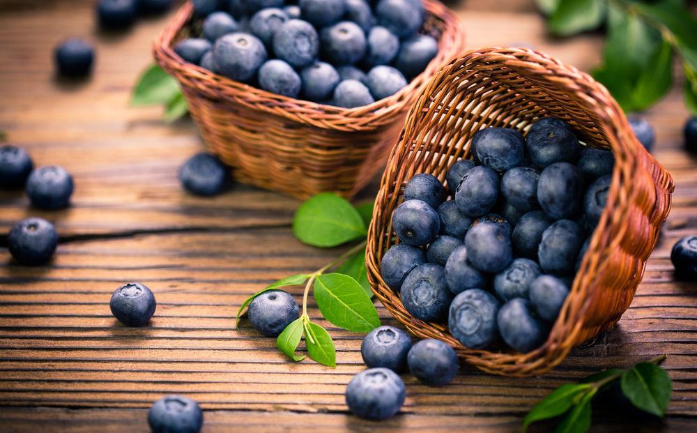 Paleo Blueberry Muffins