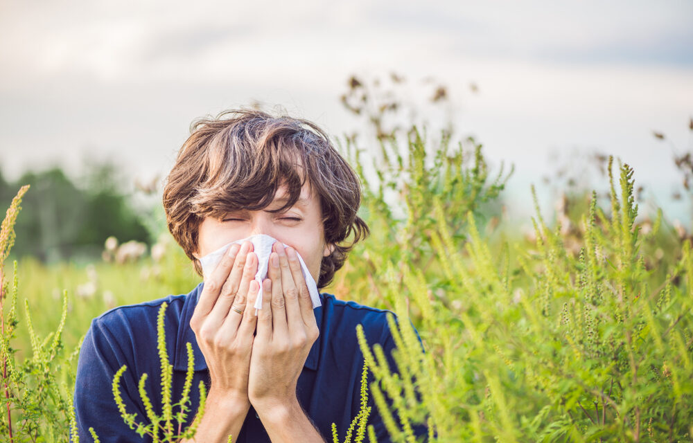 Allergies on the Rise: Why Hay Fever Keeps Getting Worse