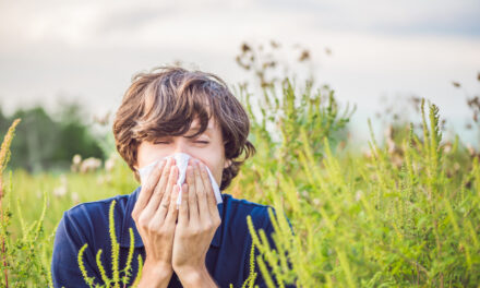 Allergies on the Rise: Why Hay Fever Keeps Getting Worse
