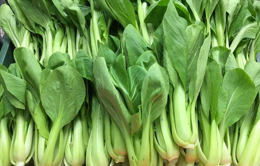Paleo Bok Choy