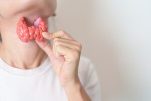 Model of a thyroid gland held at the neck, symbolizing hypothyroidism and thyroid disorders.