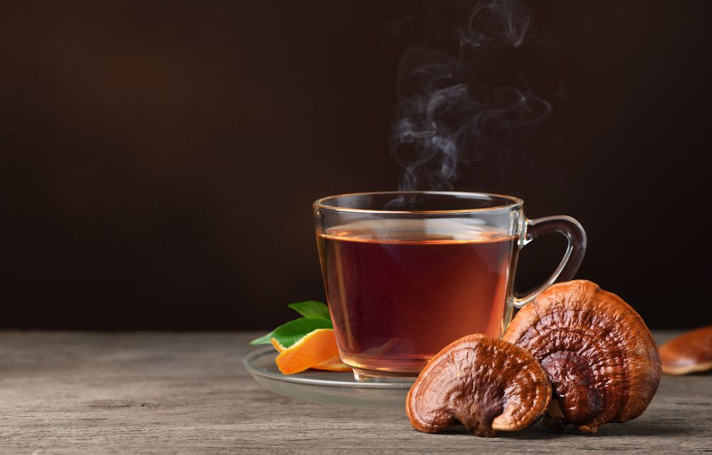 Reishi Mushroom Benefits: Immune and Wellness Support