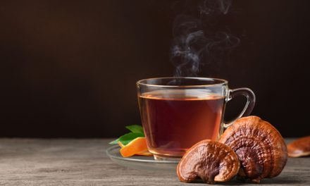 Reishi Mushroom Benefits: Immune and Wellness Support