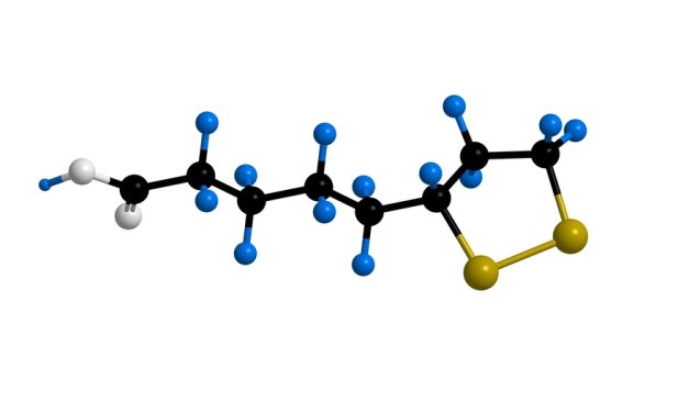 Alpha-Lipoic Acid (ALA): Natural Support for Brain & Nerve Health