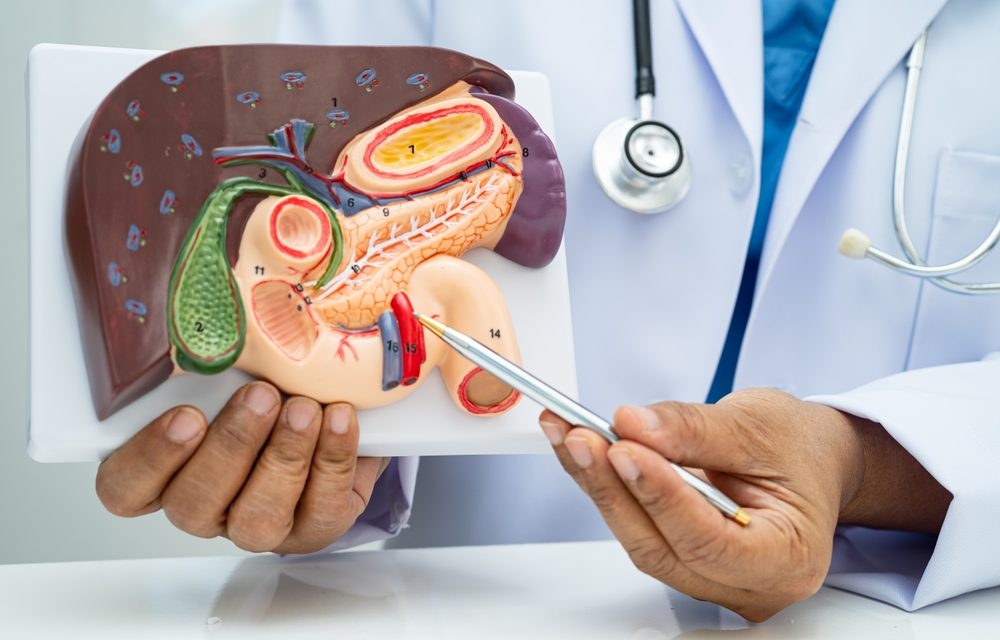 Phosphatidylcholine for Liver, Digestive, and Lung Health