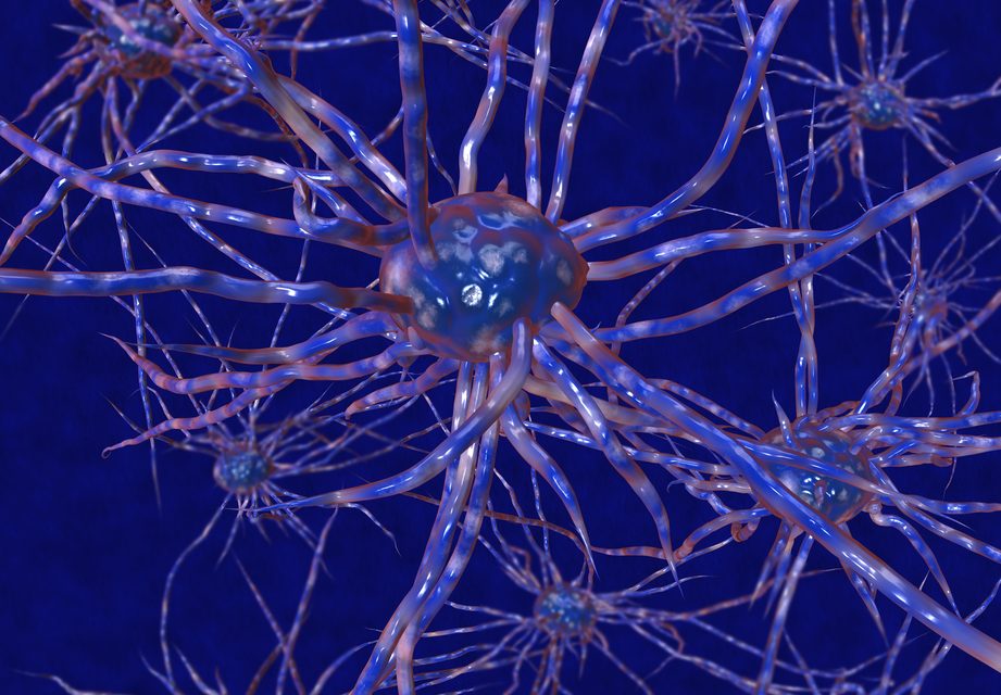 Vitamin B6 and Thiamin: Synergy in Energy, Nerves, and Clinical Clues