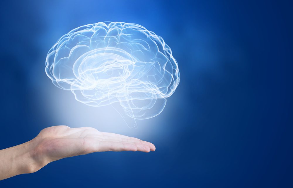 B Vitamins and the Brain