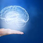 B Vitamins and the Brain