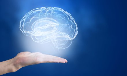 B Vitamins and the Brain