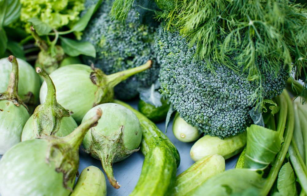 Folate and Memory: How Vitamin B9 Supports the Brain