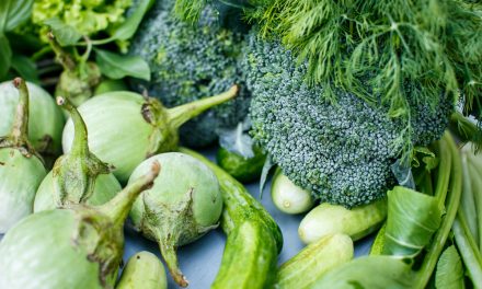 Folate and Memory: How Vitamin B9 Supports the Brain