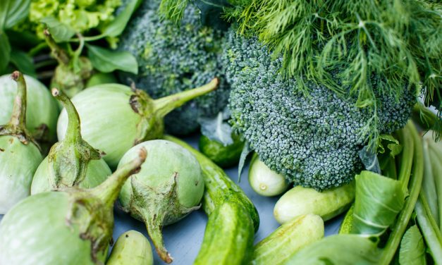 Folate and Memory: How Vitamin B9 Supports the Brain