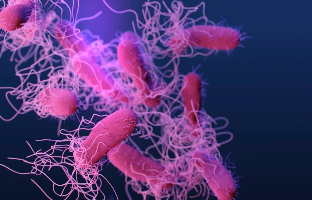 Environmental Chemicals and Antibiotic Resistance