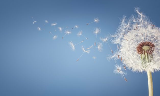 Allergies, Flavonoids, and Food: A Natural Approach to Calming Inflammation