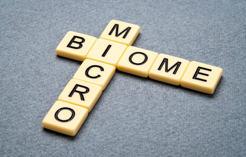 Gut Microbiome Health: Diet, Diversity, and the Gut Lining