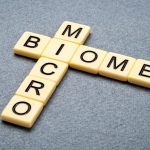 Gut Microbiome Health: Diet, Diversity, and the Gut Lining