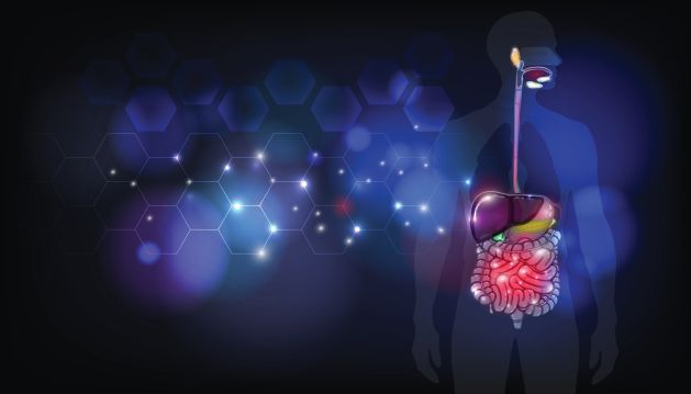 Natural Approaches to IBS and SIBO