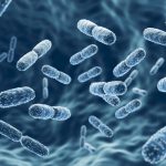 Why Probiotics Don’t Work Long-Term