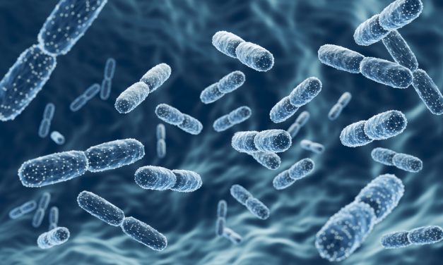 Why Probiotics Don’t Work Long-Term