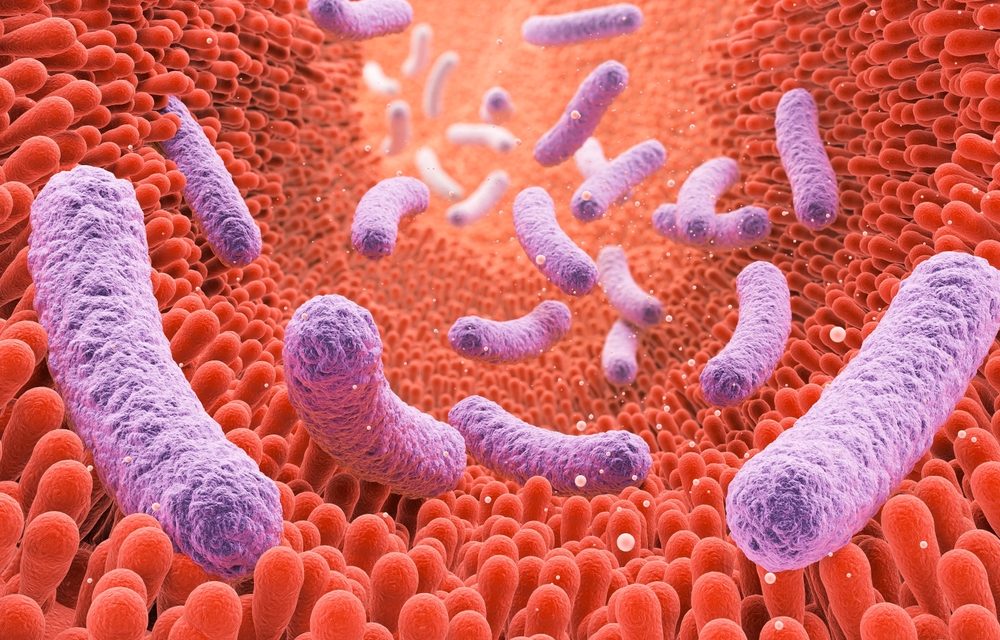 The Specific Carbohydrate Diet