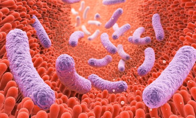 The Specific Carbohydrate Diet