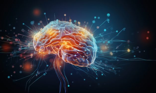 Brain Health, ADHD, Depression & Cognition: The Role of Inflammation, Stress & the Gut–Brain Axis