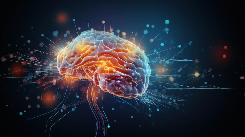 Brain Health, ADHD, Depression & Cognition: The Role of Inflammation, Stress & the Gut–Brain Axis