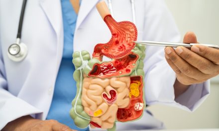 HCl and Digestive Enzymes: Why Digestion Breaks Down (and Why Most People Get It Wrong)