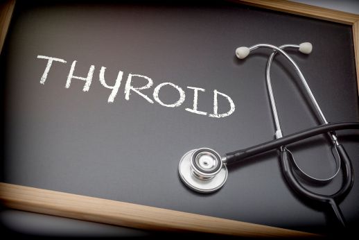Thyroid Health: Symptoms, Testing, and Common Thyroid Disorders