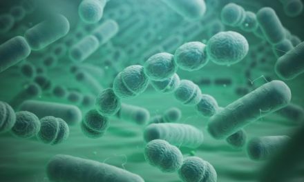 Gut Microbiome Dysbiosis: Symptoms, Causes, and Natural Strategies to Restore Balance